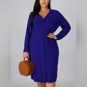 Victoria Soie Vintage 100% Silk Long Sleeve Button Front Dress Size 12